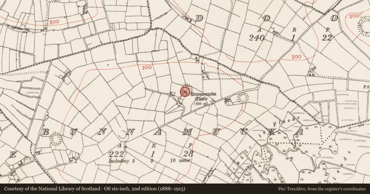 Ordnance Survey six-inch map, 2nd edition (1888–1915) covering the location of Ringfort - rath, Bunnamucka, County Roscommon, with a pin at the register's coordinates
