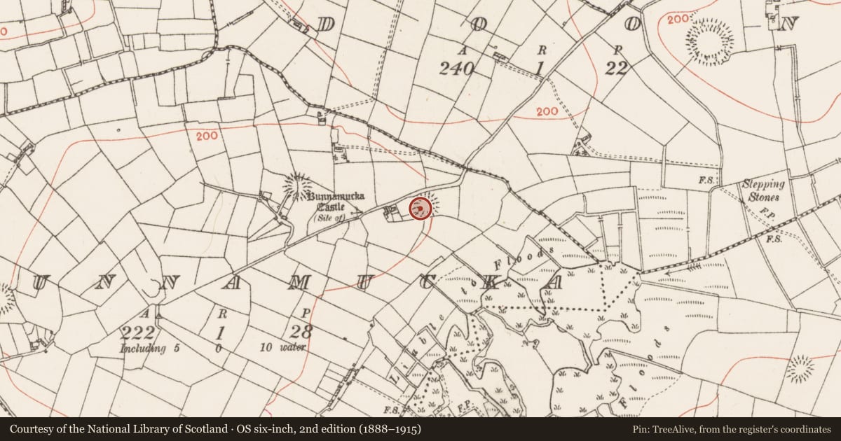 Ordnance Survey six-inch map, 2nd edition (1888–1915) covering the location of Ringfort - rath, Bunnamucka, County Roscommon, with a pin at the register's coordinates