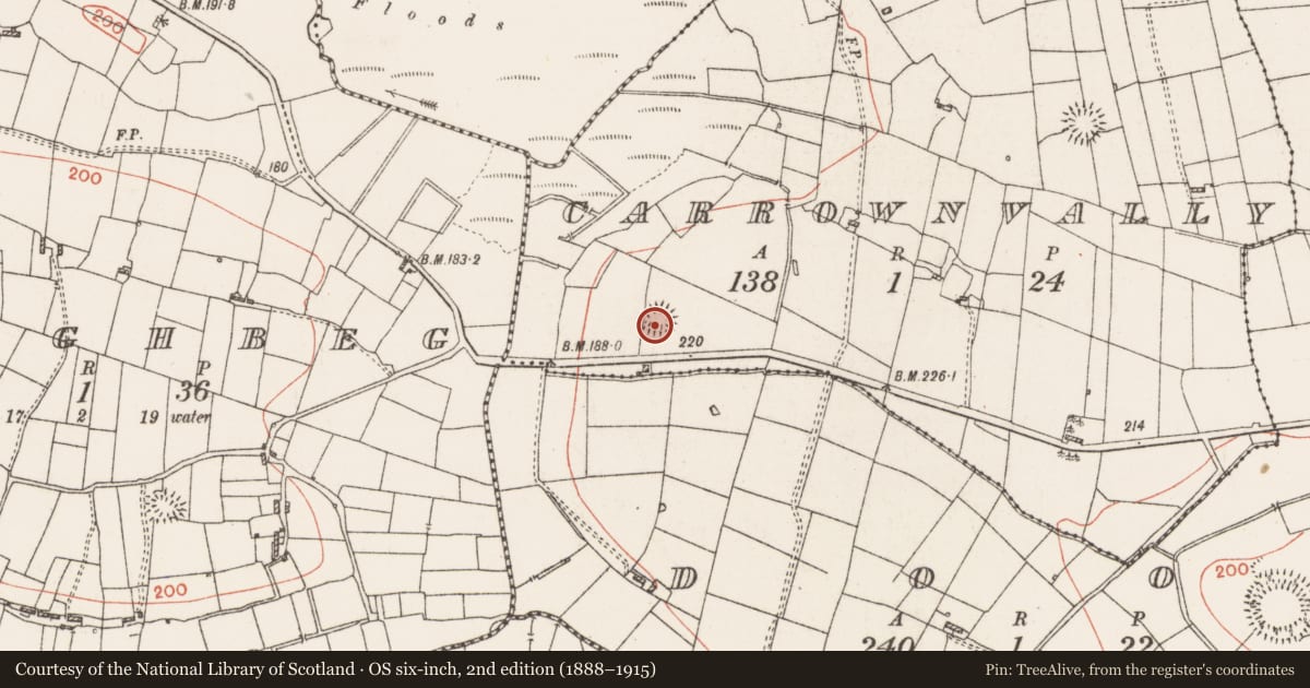 Ordnance Survey six-inch map, 2nd edition (1888–1915) covering the location of Ringfort - rath, Carrownvally, County Roscommon, with a pin at the register's coordinates