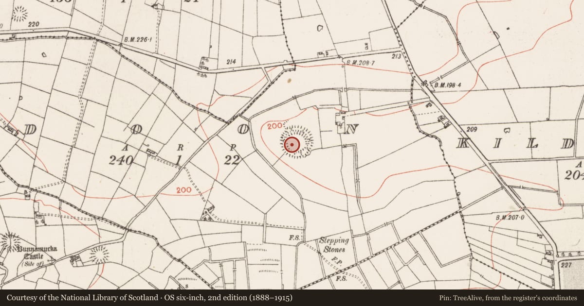Ordnance Survey six-inch map, 2nd edition (1888–1915) covering the location of Ringfort - rath, Doon, County Roscommon, with a pin at the register's coordinates