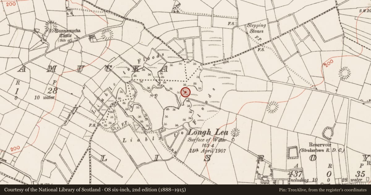 Ordnance Survey six-inch map, 2nd edition (1888–1915) covering the location of Crannog, Lisroyne, County Roscommon, with a pin at the register's coordinates