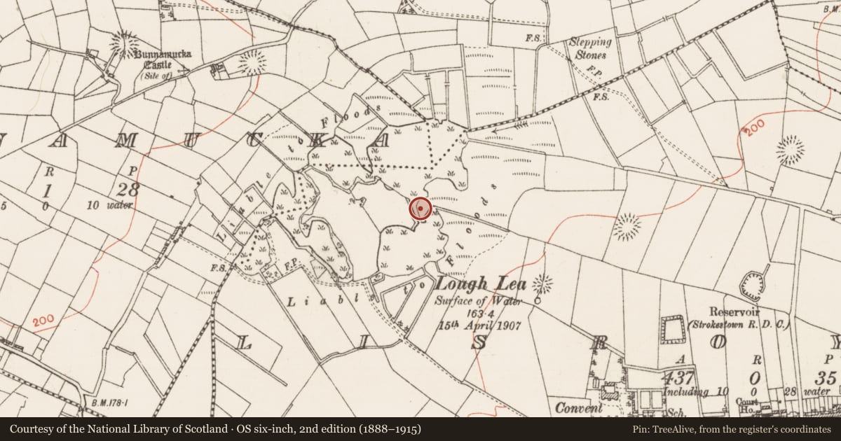 Ordnance Survey six-inch map, 2nd edition (1888–1915) covering the location of Crannog, Lisroyne, County Roscommon, with a pin at the register's coordinates