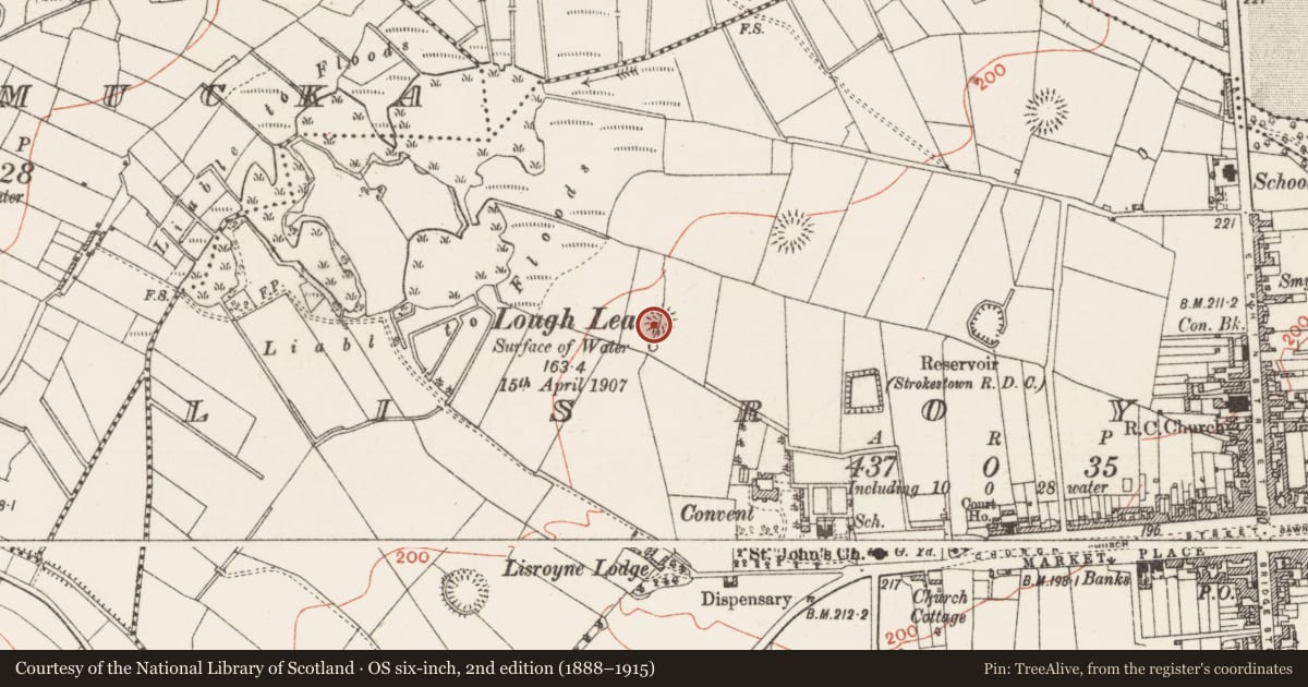Ordnance Survey six-inch map, 2nd edition (1888–1915) covering the location of Ringfort - rath, Lisroyne, County Roscommon, with a pin at the register's coordinates