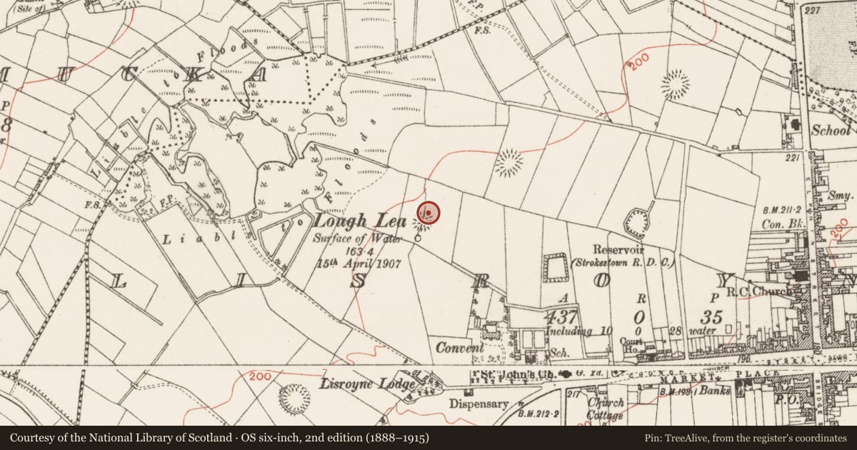 Ordnance Survey six-inch map, 2nd edition (1888–1915) covering the location of Fulacht fia, Lisroyne, County Roscommon, with a pin at the register's coordinates