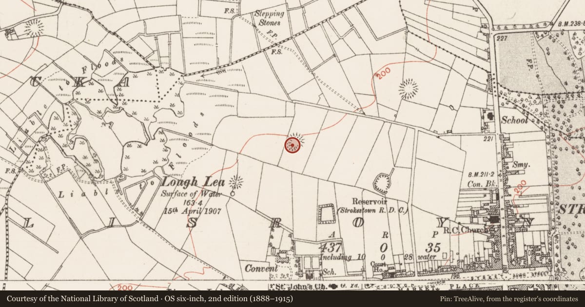 Ordnance Survey six-inch map, 2nd edition (1888–1915) covering the location of Ringfort - rath, Lisroyne, County Roscommon, with a pin at the register's coordinates