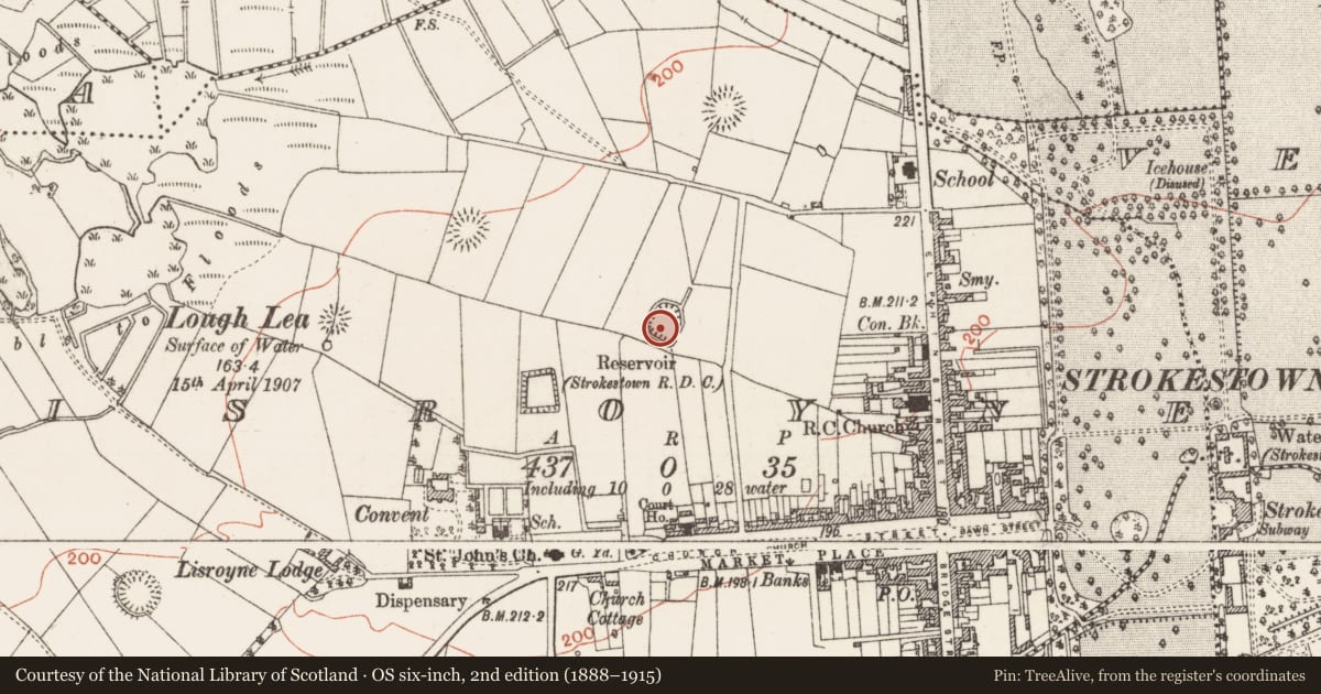 Ordnance Survey six-inch map, 2nd edition (1888–1915) covering the location of Ringfort - rath, Lisroyne, County Roscommon, with a pin at the register's coordinates