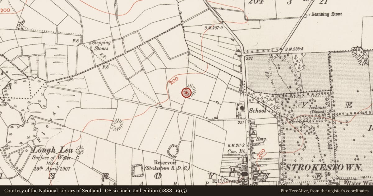Ordnance Survey six-inch map, 2nd edition (1888–1915) covering the location of Ringfort - rath, Lisroyne, County Roscommon, with a pin at the register's coordinates