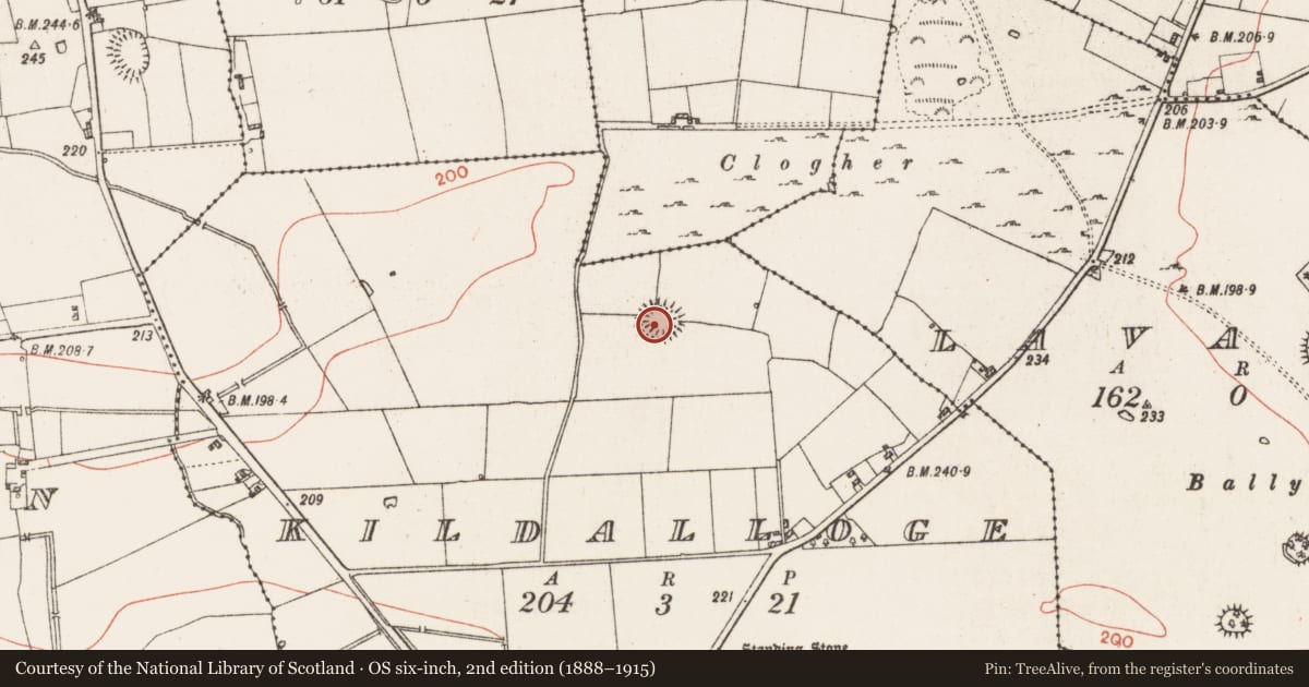 Ordnance Survey six-inch map, 2nd edition (1888–1915) covering the location of Ringfort - rath, Kildalloge, County Roscommon, with a pin at the register's coordinates