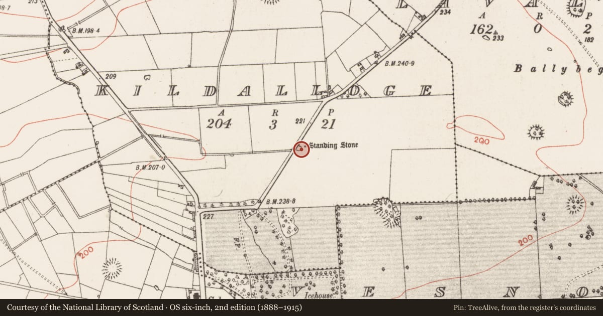 Ordnance Survey six-inch map, 2nd edition (1888–1915) covering the location of Standing stone, Kildalloge, County Roscommon, with a pin at the register's coordinates