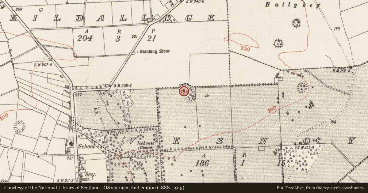 Ordnance Survey six-inch map, 2nd edition (1888–1915) covering the location of Ringfort - rath, Vesnoy, County Roscommon, with a pin at the register's coordinates