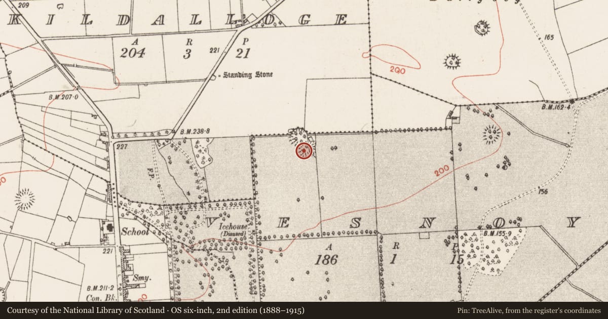 Ordnance Survey six-inch map, 2nd edition (1888–1915) covering the location of Ringfort - rath, Vesnoy, County Roscommon, with a pin at the register's coordinates