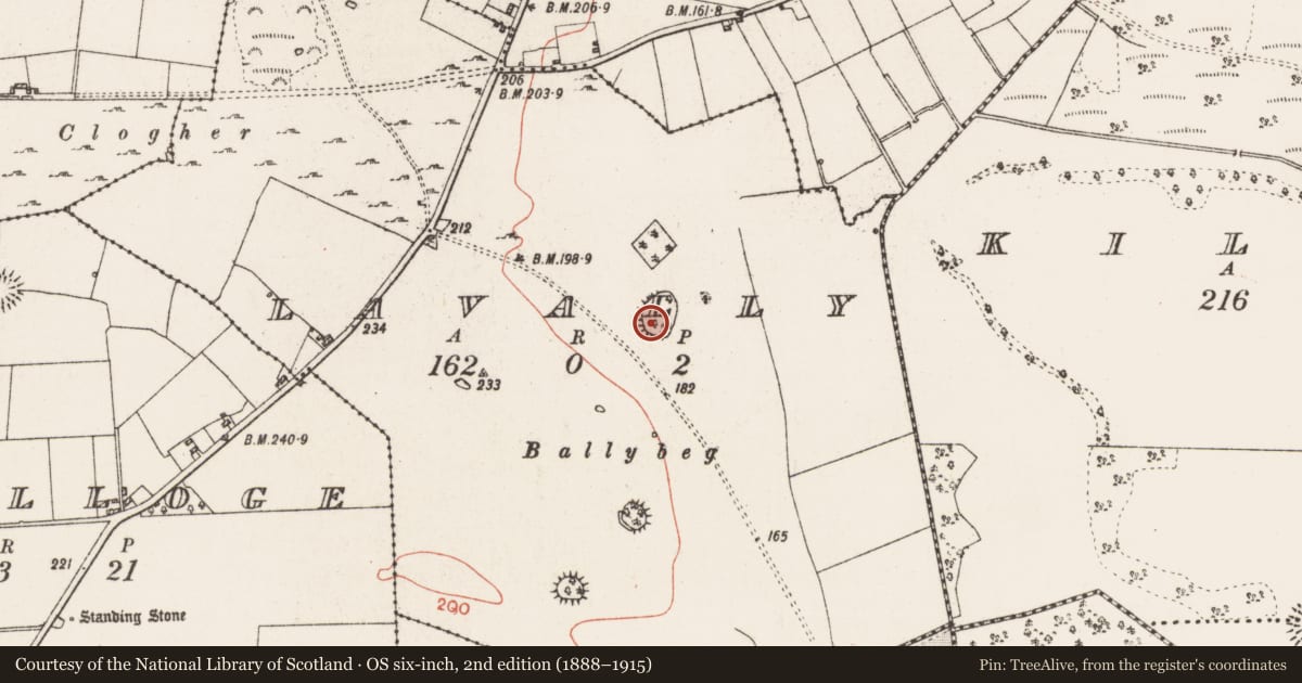 Ordnance Survey six-inch map, 2nd edition (1888–1915) covering the location of Ringfort - rath, Lavally, County Roscommon, with a pin at the register's coordinates