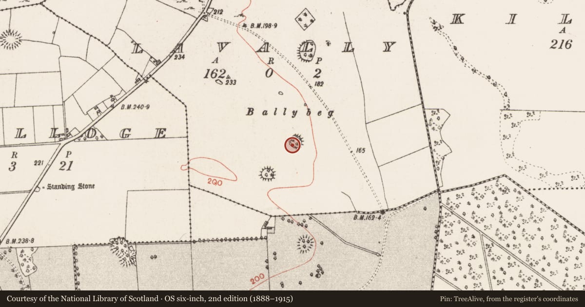Ordnance Survey six-inch map, 2nd edition (1888–1915) covering the location of Ringfort - rath, Lavally, County Roscommon, with a pin at the register's coordinates