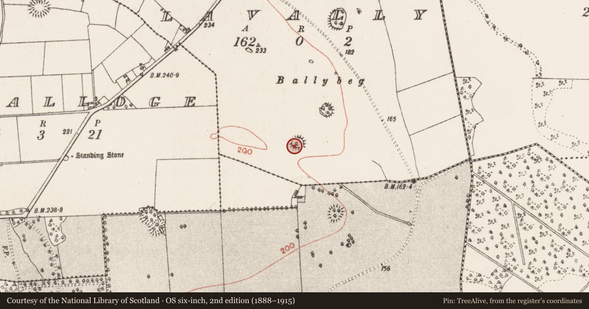 Ordnance Survey six-inch map, 2nd edition (1888–1915) covering the location of Ringfort - rath, Lavally, County Roscommon, with a pin at the register's coordinates
