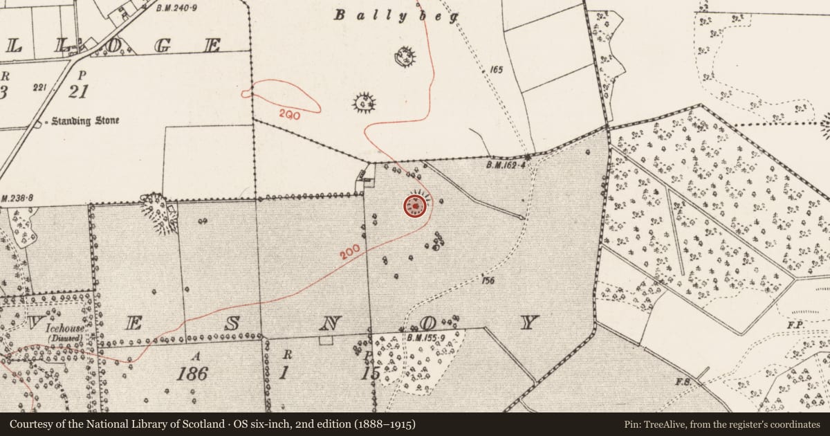 Ordnance Survey six-inch map, 2nd edition (1888–1915) covering the location of Ringfort - rath, Vesnoy, County Roscommon, with a pin at the register's coordinates