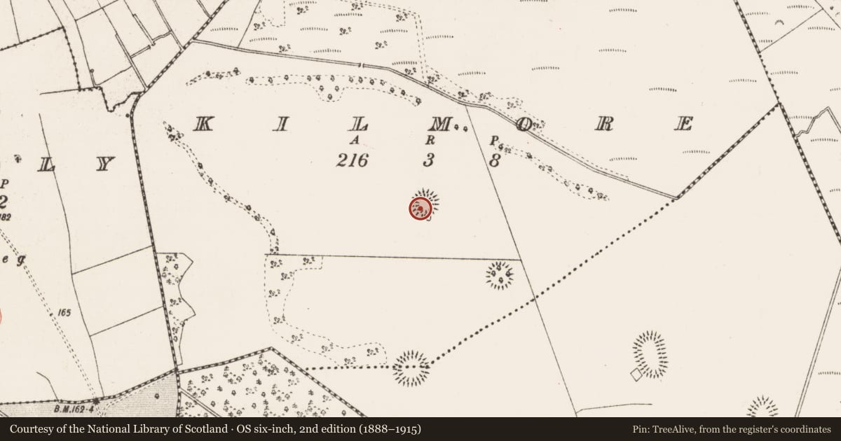 Ordnance Survey six-inch map, 2nd edition (1888–1915) covering the location of Ringfort - rath, Kilmore, County Roscommon, with a pin at the register's coordinates