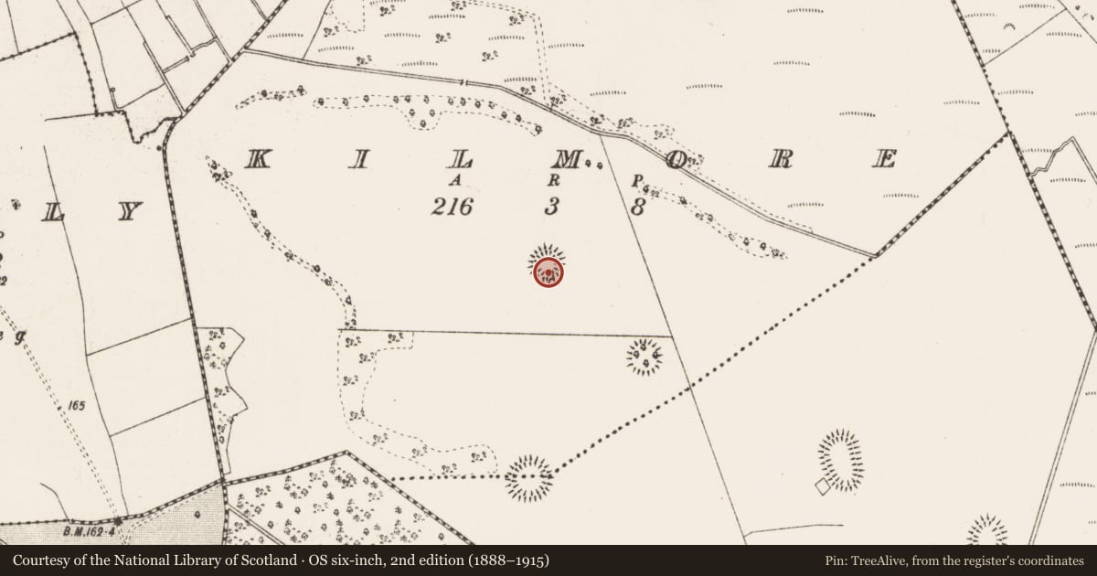Ordnance Survey six-inch map, 2nd edition (1888–1915) covering the location of House - indeterminate date, Kilmore, County Roscommon, with a pin at the register's coordinates