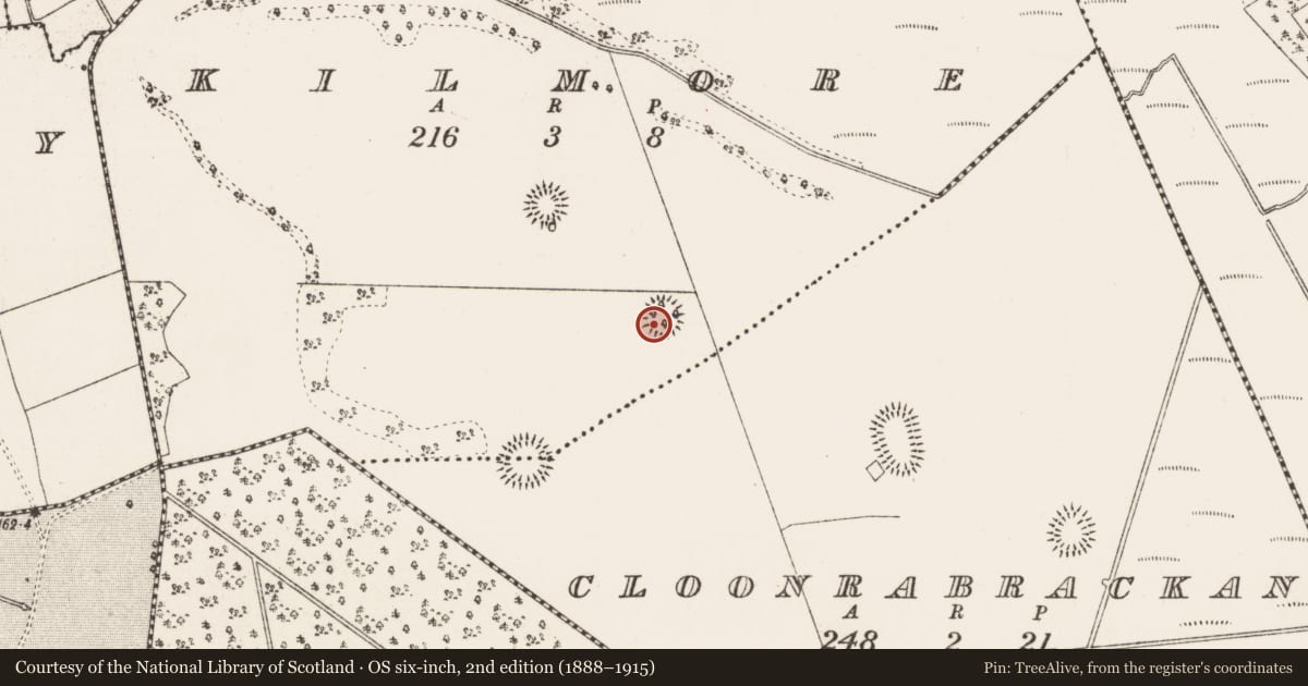 Ordnance Survey six-inch map, 2nd edition (1888–1915) covering the location of Ringfort - rath, Kilmore, County Roscommon, with a pin at the register's coordinates