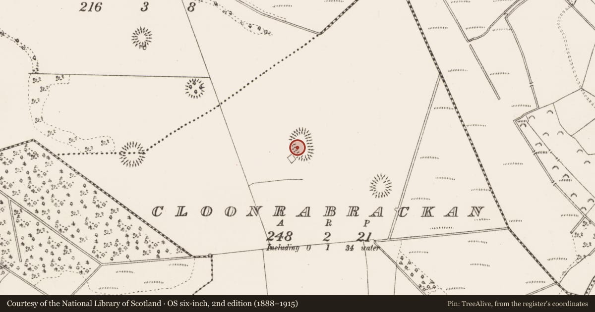 Ordnance Survey six-inch map, 2nd edition (1888–1915) covering the location of Ringfort - rath, Cloonrabrackan, County Roscommon, with a pin at the register's coordinates