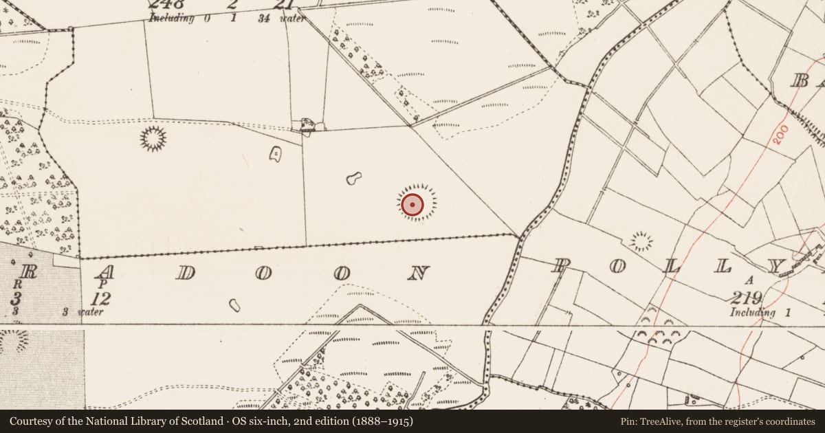 Ordnance Survey six-inch map, 2nd edition (1888–1915) covering the location of Ringfort - rath, Cloonrabrackan, County Roscommon, with a pin at the register's coordinates