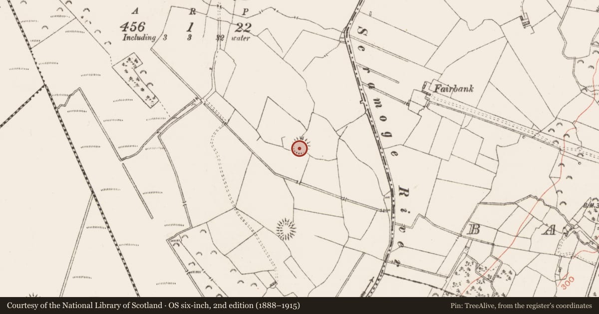Ordnance Survey six-inch map, 2nd edition (1888–1915) covering the location of Ringfort - rath, Clooneen (Hartland), County Roscommon, with a pin at the register's coordinates