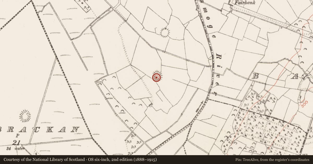 Ordnance Survey six-inch map, 2nd edition (1888–1915) covering the location of Ringfort - rath, Clooneen (Hartland), County Roscommon, with a pin at the register's coordinates