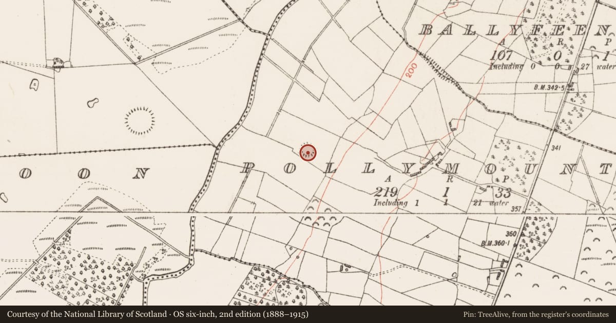 Ordnance Survey six-inch map, 2nd edition (1888–1915) covering the location of Ringfort - rath, Pollymount, County Roscommon, with a pin at the register's coordinates