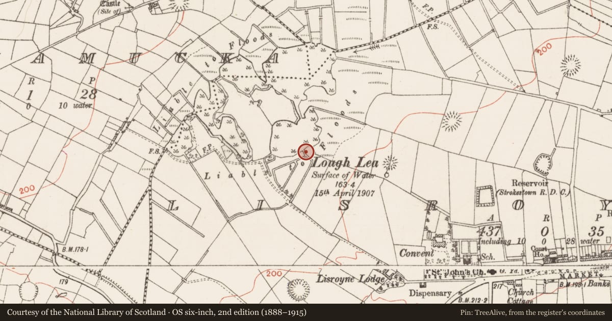 Ordnance Survey six-inch map, 2nd edition (1888–1915) covering the location of Crannog, Lisroyne, County Roscommon, with a pin at the register's coordinates