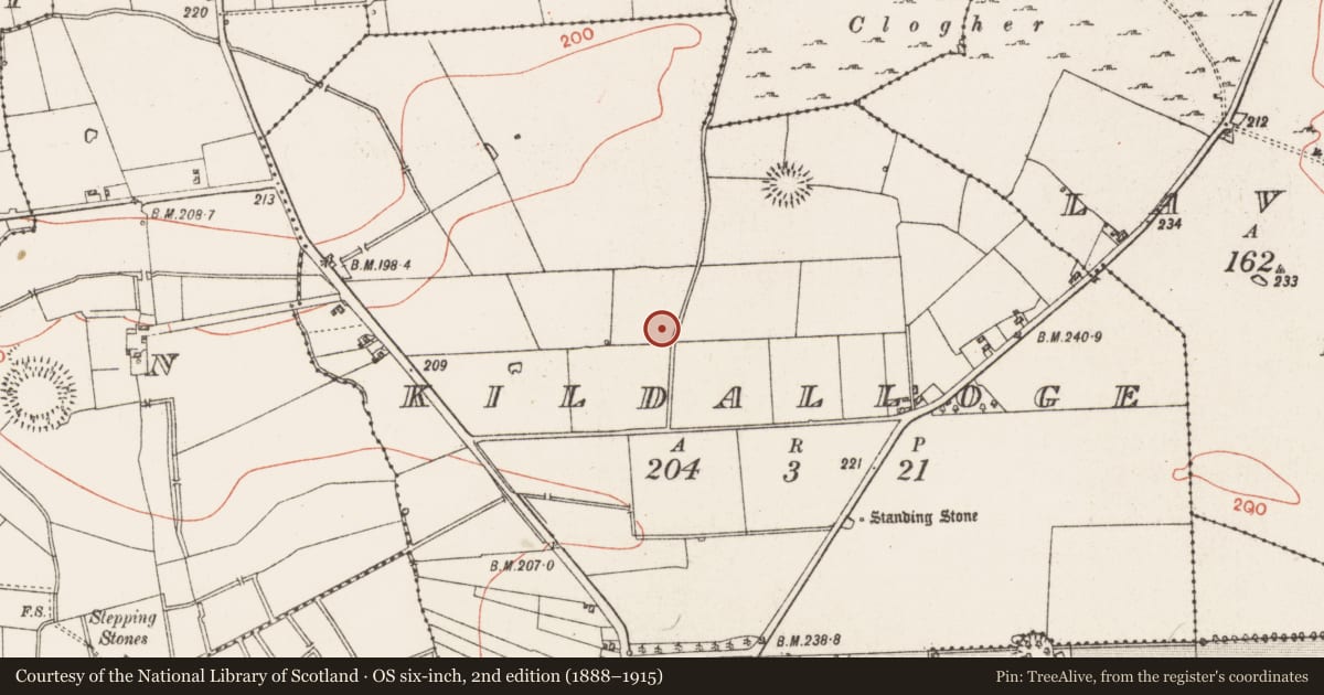 Ordnance Survey six-inch map, 2nd edition (1888–1915) covering the location of Church, Kildalloge, County Roscommon, with a pin at the register's coordinates