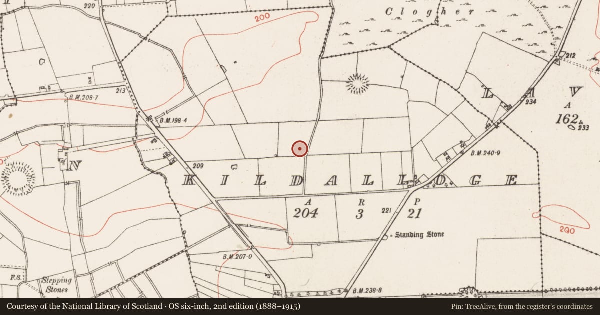 Ordnance Survey six-inch map, 2nd edition (1888–1915) covering the location of Burial ground, Kildalloge, County Roscommon, with a pin at the register's coordinates