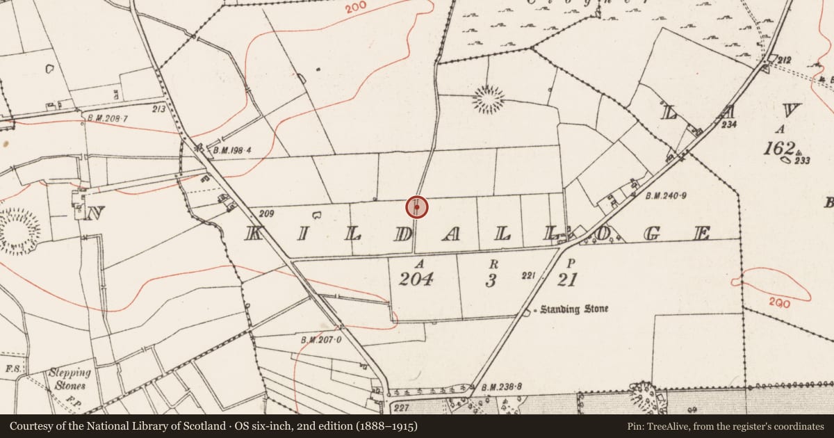 Ordnance Survey six-inch map, 2nd edition (1888–1915) covering the location of Enclosure, Kildalloge, County Roscommon, with a pin at the register's coordinates
