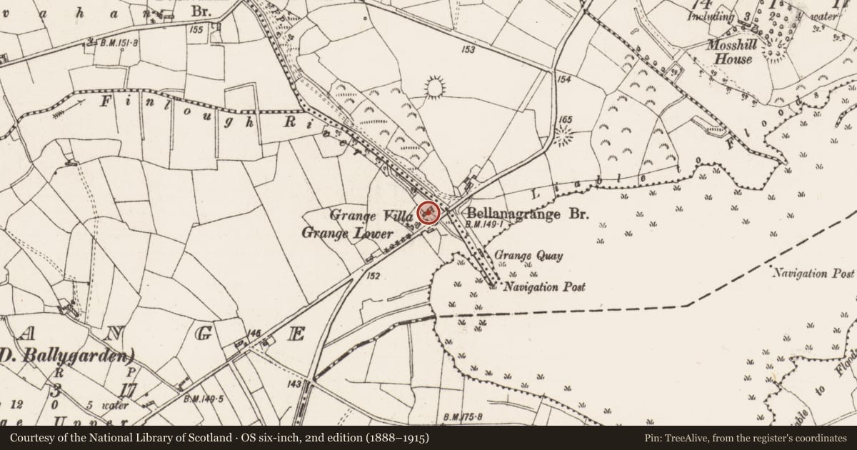 Ordnance Survey six-inch map, 2nd edition (1888–1915) covering the location of Mill - unclassified, Grange, County Roscommon, with a pin at the register's coordinates