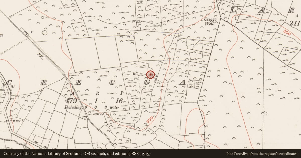 Ordnance Survey six-inch map, 2nd edition (1888–1915) covering the location of House - 16th/17th century, Cregga, County Roscommon, with a pin at the register's coordinates