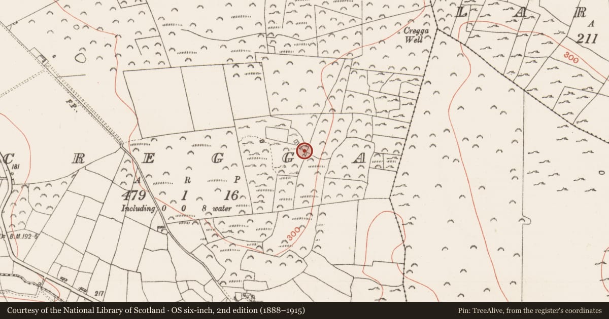 Ordnance Survey six-inch map, 2nd edition (1888–1915) covering the location of Dovecote, Cregga, County Roscommon, with a pin at the register's coordinates