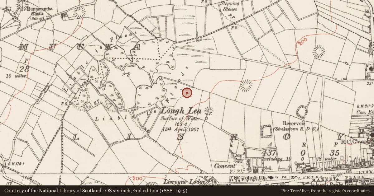 Ordnance Survey six-inch map, 2nd edition (1888–1915) covering the location of Crannog, Lisroyne, County Roscommon, with a pin at the register's coordinates