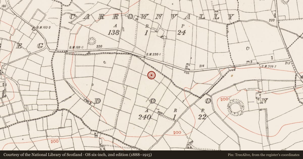 Ordnance Survey six-inch map, 2nd edition (1888–1915) covering the location of Standing stone, Doon, County Roscommon, with a pin at the register's coordinates