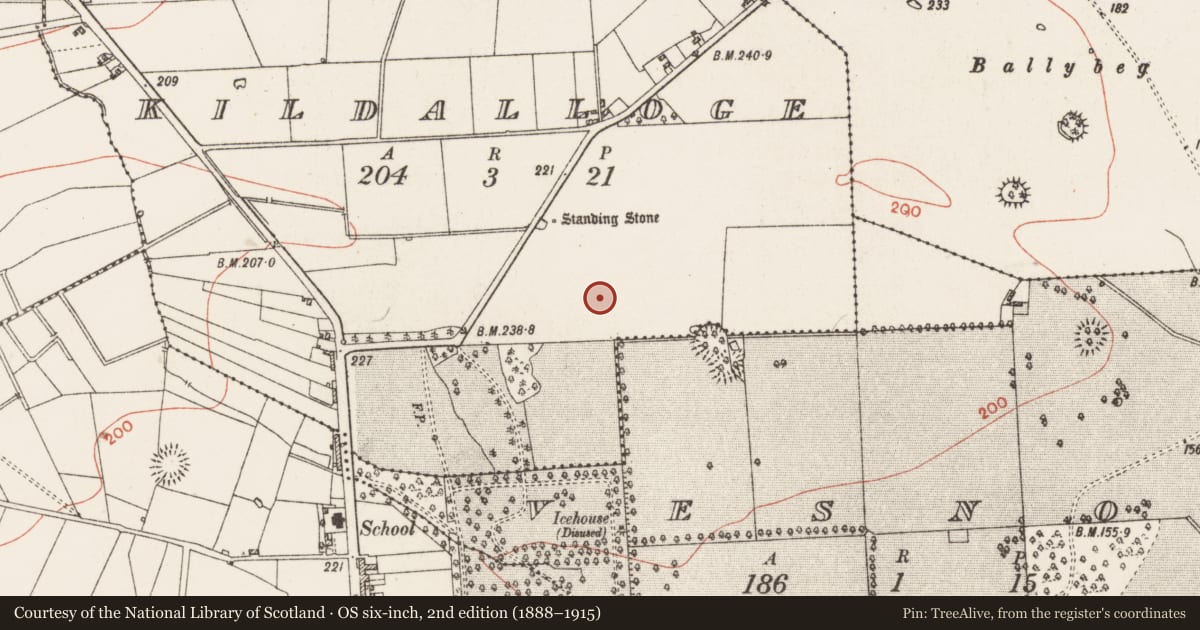 Ordnance Survey six-inch map, 2nd edition (1888–1915) covering the location of Ringfort - rath, Kildalloge, County Roscommon, with a pin at the register's coordinates
