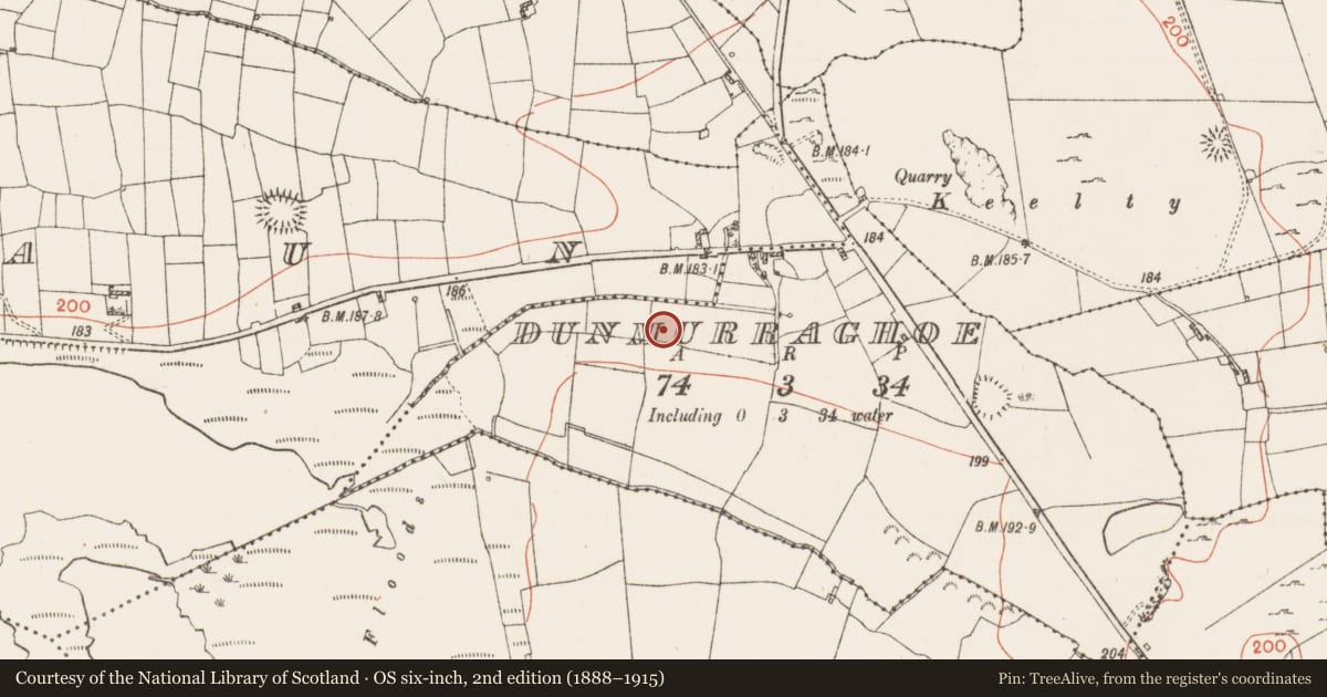 Ordnance Survey six-inch map, 2nd edition (1888–1915) covering the location of Fulacht fia, Dunmurraghoe, County Roscommon, with a pin at the register's coordinates