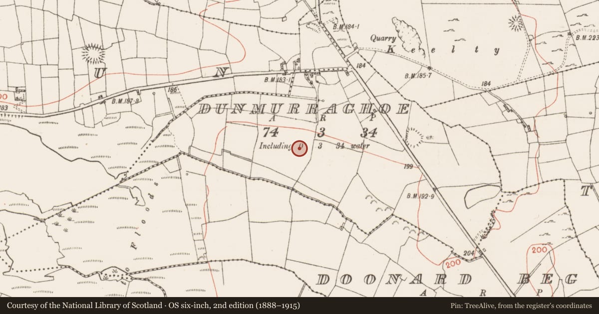 Ordnance Survey six-inch map, 2nd edition (1888–1915) covering the location of Ringfort - rath, Dunmurraghoe, County Roscommon, with a pin at the register's coordinates