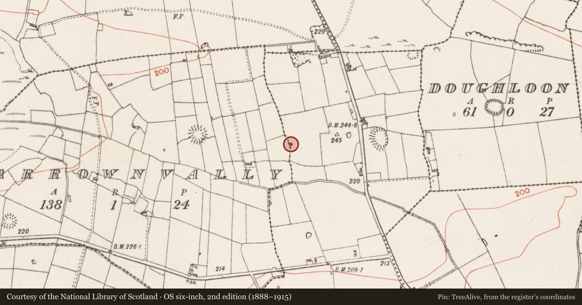 Ordnance Survey six-inch map, 2nd edition (1888–1915) covering the location of Enclosure, Doon, County Roscommon, with a pin at the register's coordinates