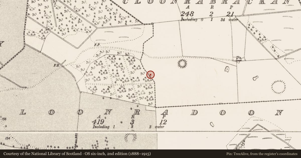 Ordnance Survey six-inch map, 2nd edition (1888–1915) covering the location of Enclosure, Cloonrabrackan, County Roscommon, with a pin at the register's coordinates