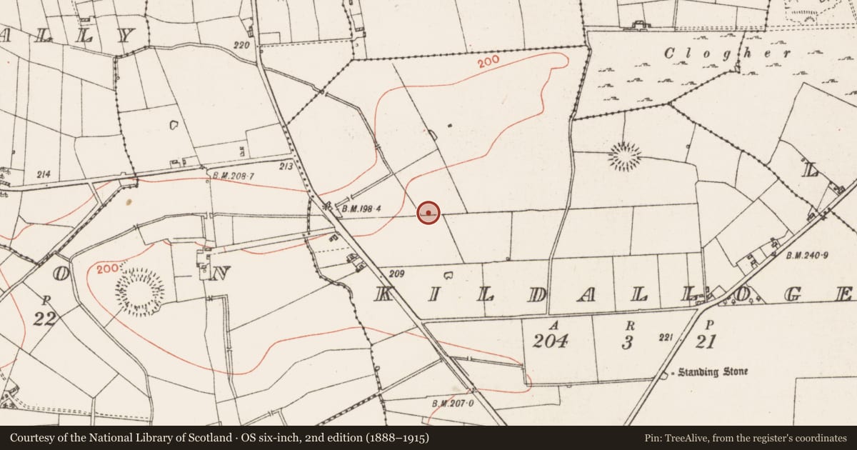 Ordnance Survey six-inch map, 2nd edition (1888–1915) covering the location of Linear earthwork, Kildalloge, County Roscommon, with a pin at the register's coordinates