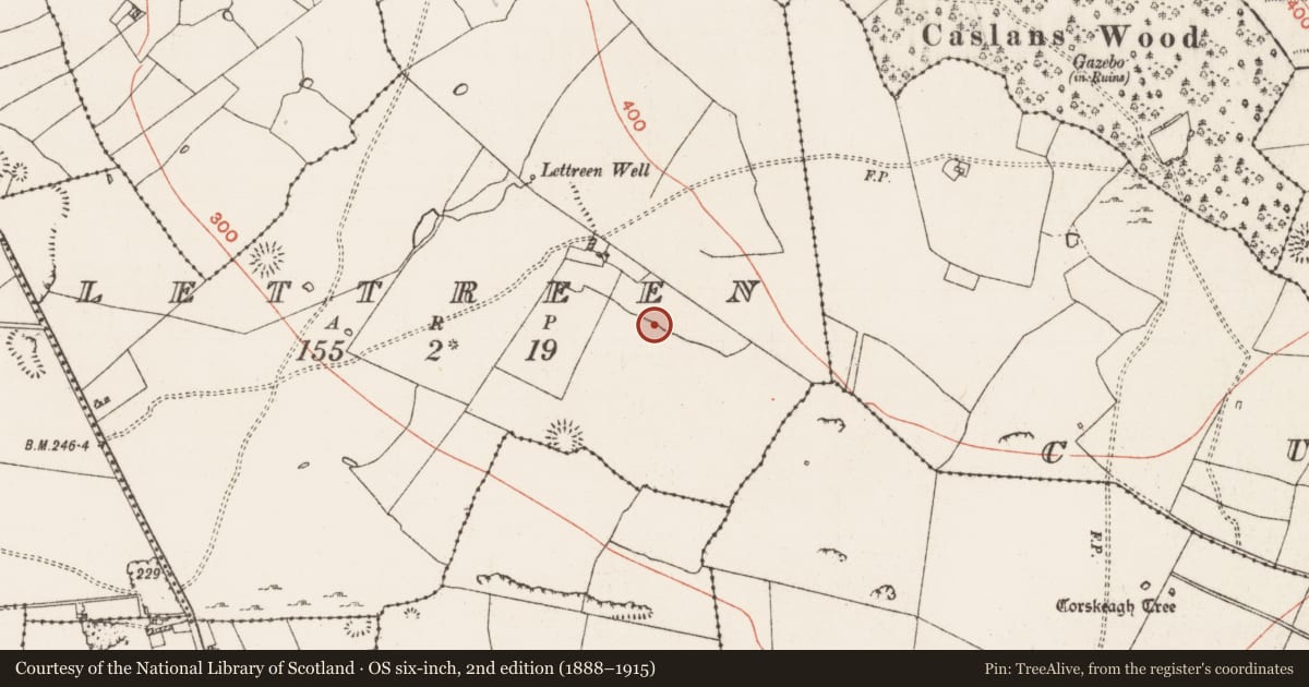 Ordnance Survey six-inch map, 2nd edition (1888–1915) covering the location of Field system, Lettreen, County Roscommon, with a pin at the register's coordinates