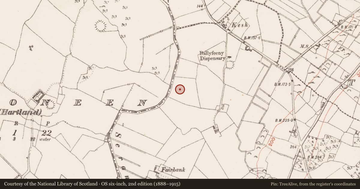 Ordnance Survey six-inch map, 2nd edition (1888–1915) covering the location of Ringfort - rath, Ballyfeeny, County Roscommon, with a pin at the register's coordinates