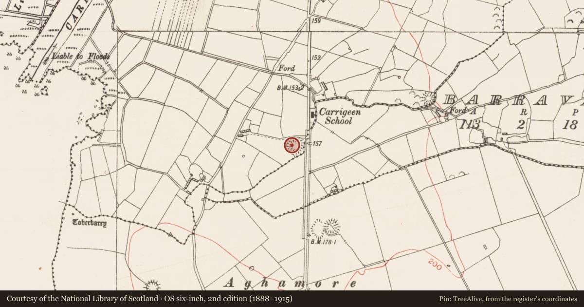 Ordnance Survey six-inch map, 2nd edition (1888–1915) covering the location of Ringfort - rath, Carrigeen, County Roscommon, with a pin at the register's coordinates
