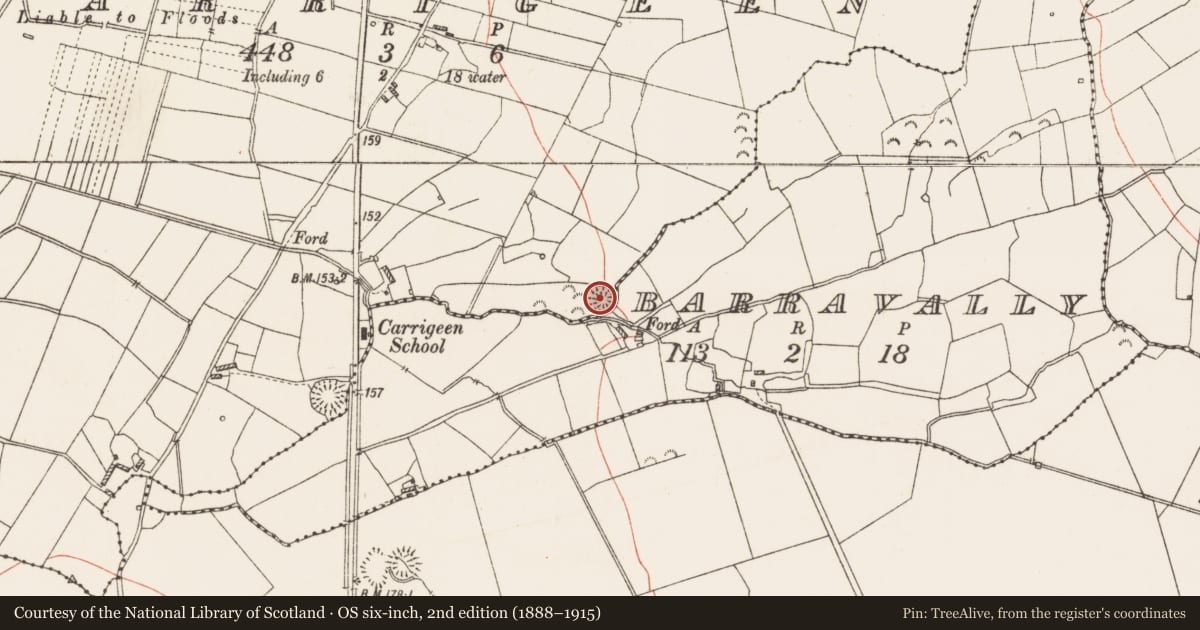 Ordnance Survey six-inch map, 2nd edition (1888–1915) covering the location of Ringfort - rath, Carrigeen, County Roscommon, with a pin at the register's coordinates