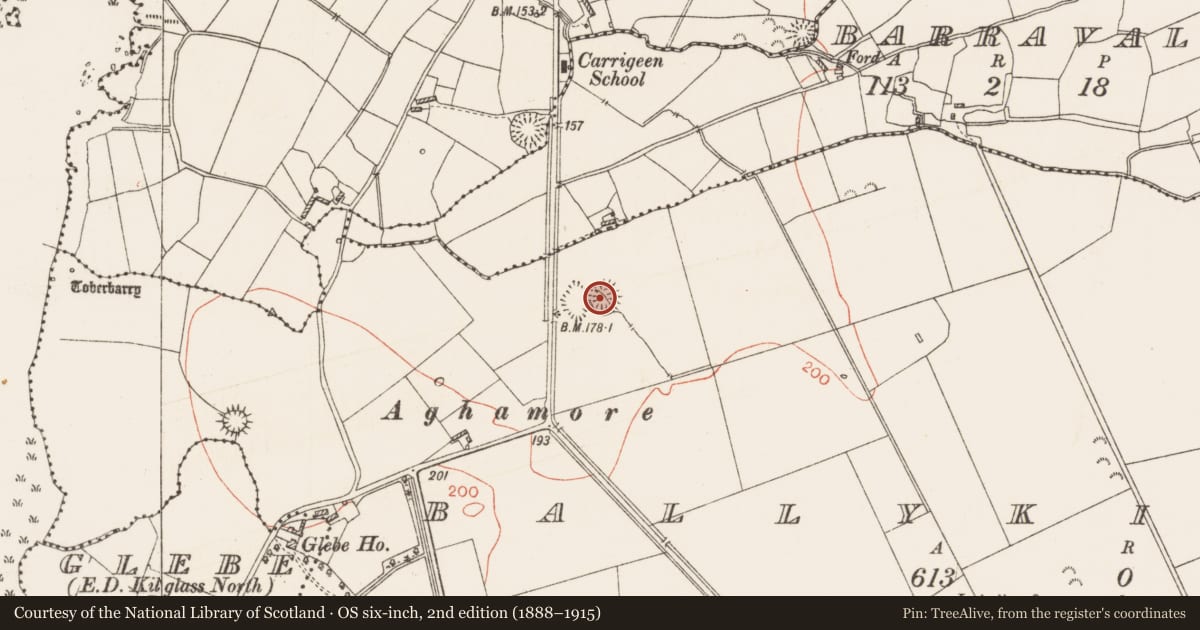 Ordnance Survey six-inch map, 2nd edition (1888–1915) covering the location of Ringfort - rath, Ballykilcline, County Roscommon, with a pin at the register's coordinates