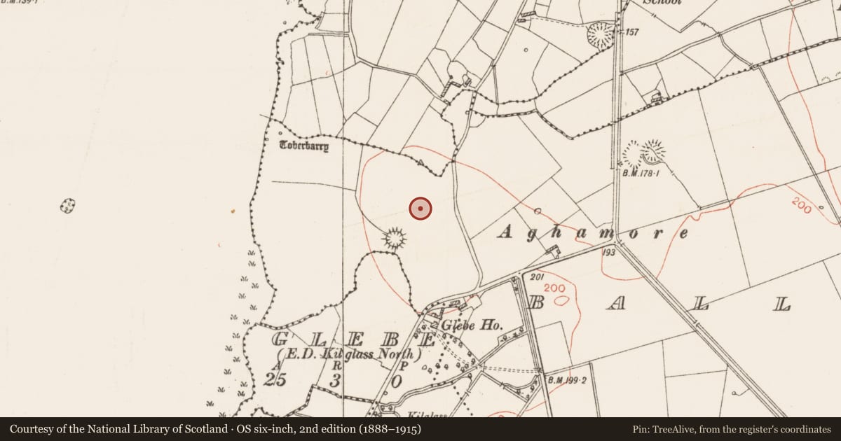 Ordnance Survey six-inch map, 2nd edition (1888–1915) covering the location of Settlement cluster, Ballykilcline, County Roscommon, with a pin at the register's coordinates