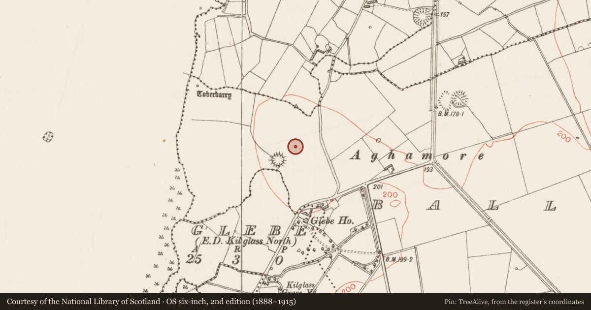 Ordnance Survey six-inch map, 2nd edition (1888–1915) covering the location of Road - road/trackway, Ballykilcline, County Roscommon, with a pin at the register's coordinates