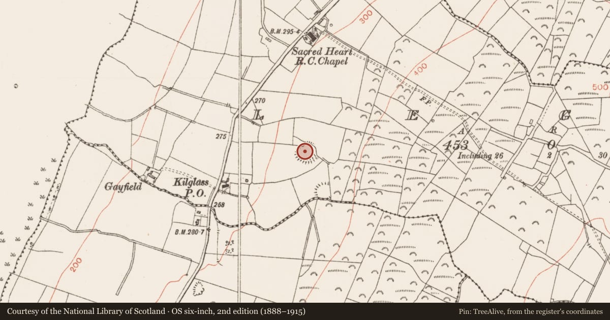 Ordnance Survey six-inch map, 2nd edition (1888–1915) covering the location of Ringfort - rath, Legan, County Roscommon, with a pin at the register's coordinates